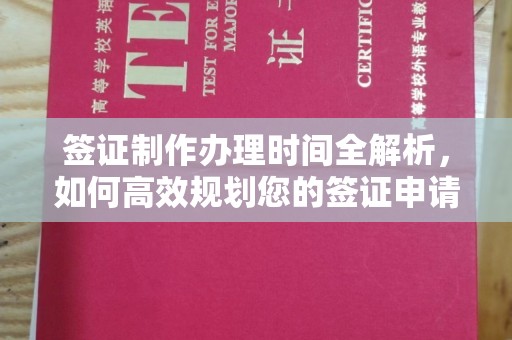二仑签证制作办理时间全解析，如何高效规划您的签证申请流程