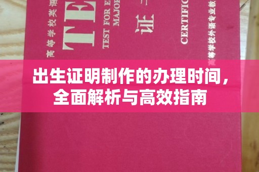 二仑出生证明制作的办理时间，全面解析与高效指南