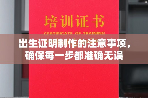 二仑出生证明制作的注意事项，确保每一步都准确无误