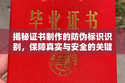 二仑揭秘证书制作的防伪标识识别，保障真实与安全的关键